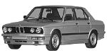 BMW E28 B1E6C Fault Code